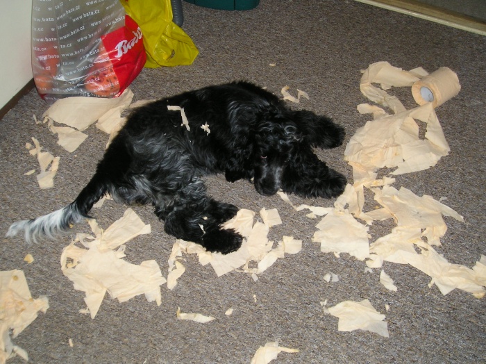 Berry 16.7.2010 (12).jpg